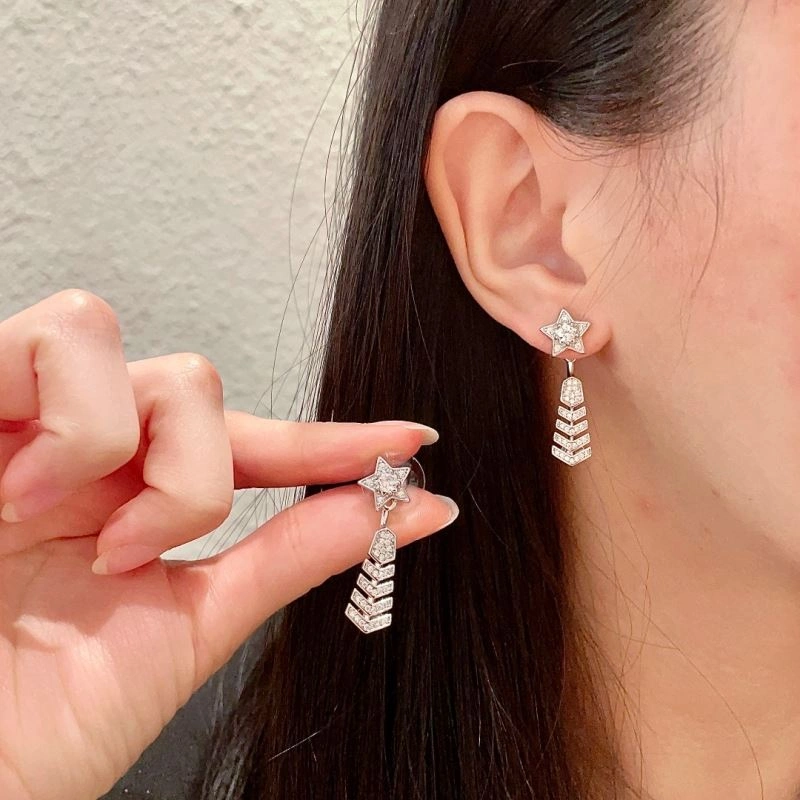 Versatile Chanel Earrings 226204