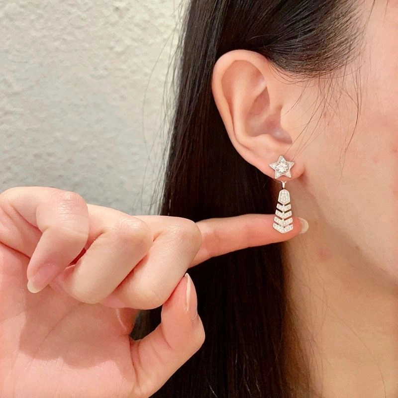 Versatile Chanel Earrings 226204