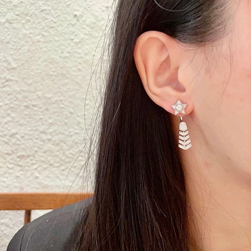 Versatile Chanel Earrings 226204