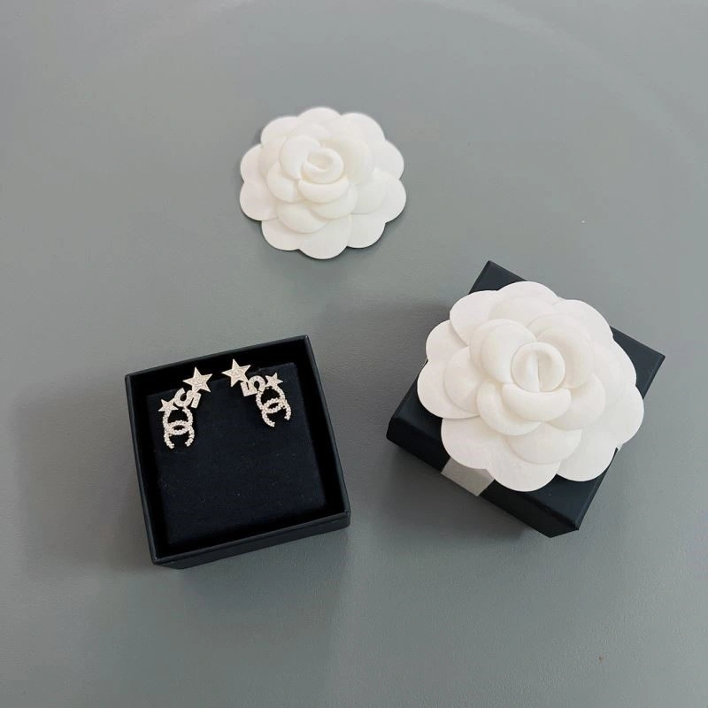 Chanel Earrings HighQuality 224804