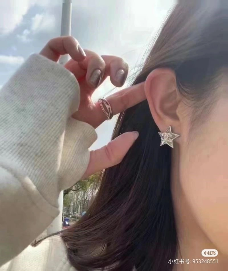 Lightweight Chanel Earrings 223722