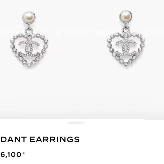 Sleek Chanel Earrings 222866