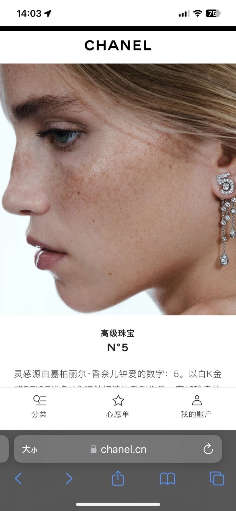 Sophisticated Chanel Earrings 222774