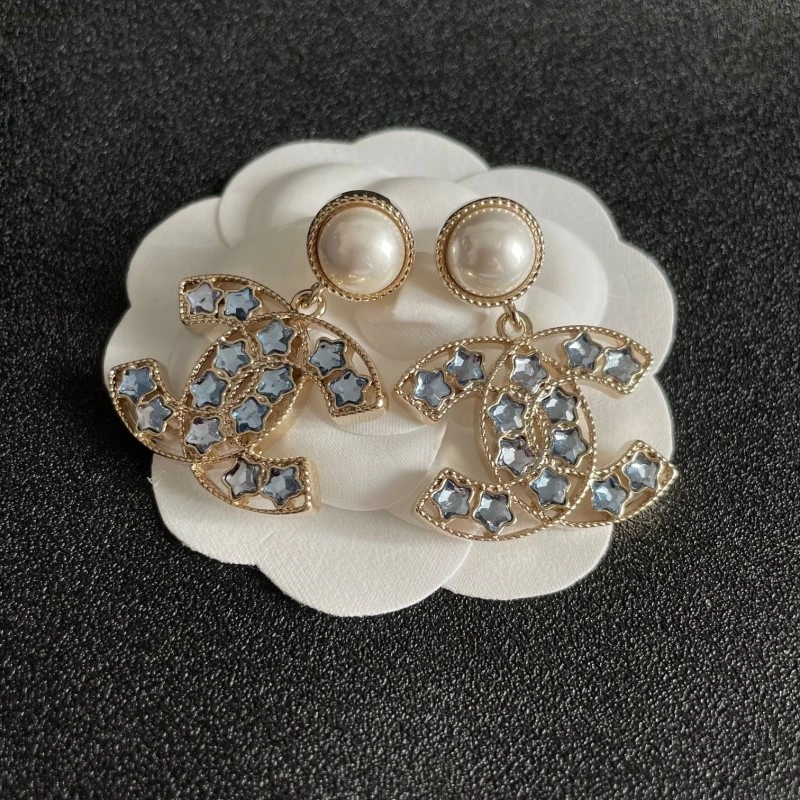 Elegant Chanel Earrings 220165