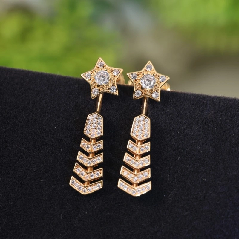 Chanel Earrings Packable 220103