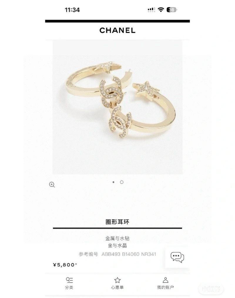 Soft Chanel Earrings 219687