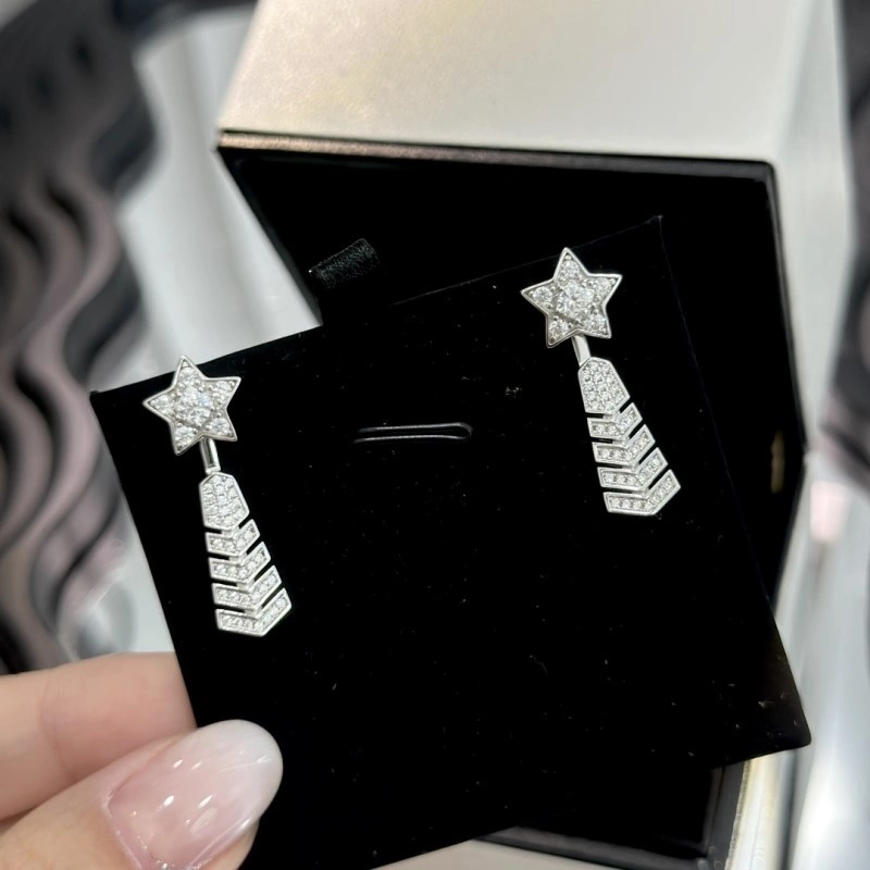 Chanel Earrings Attractive 219601