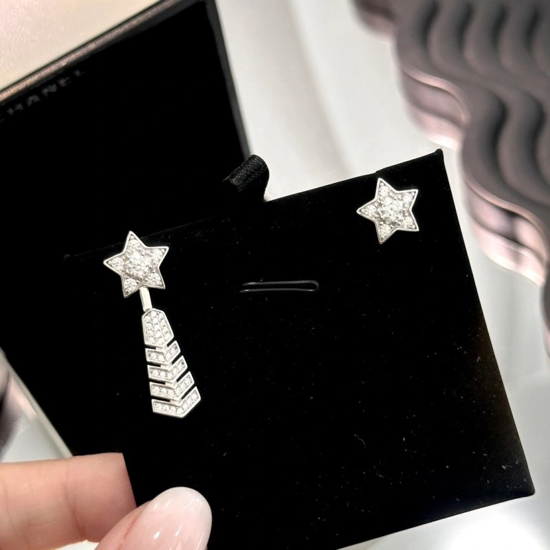 Chanel Earrings Attractive 219601