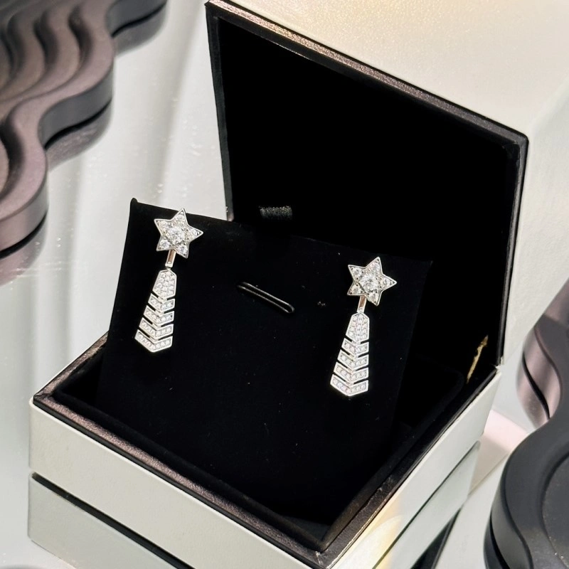 Chanel Earrings Attractive 219601