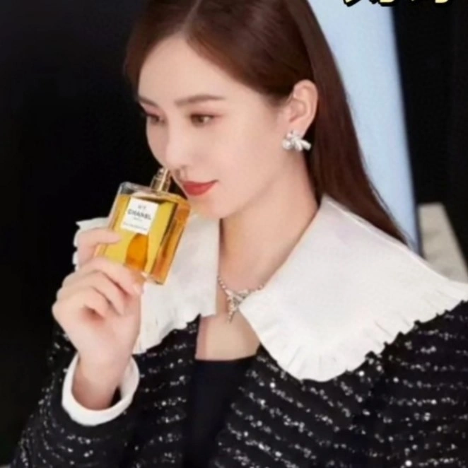 Casual Chanel Earrings 219351