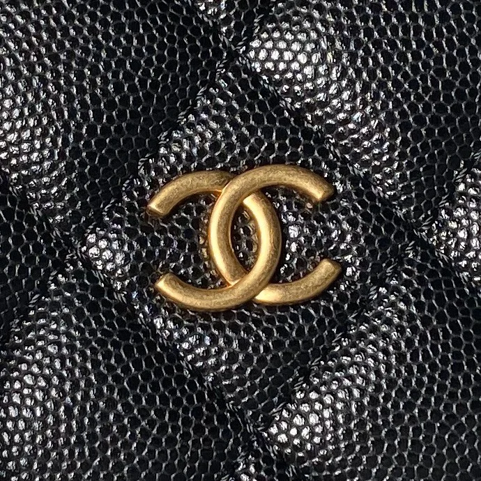 Chanel Hobo Bags TravelReady 54971