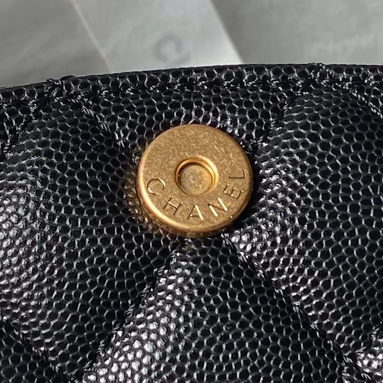 Chanel Hobo Bags TravelReady 54971