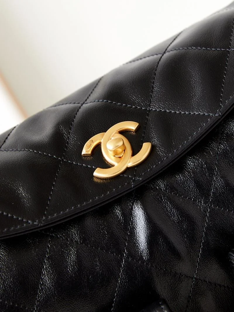 Chanel Hobo Bags Classic 54942