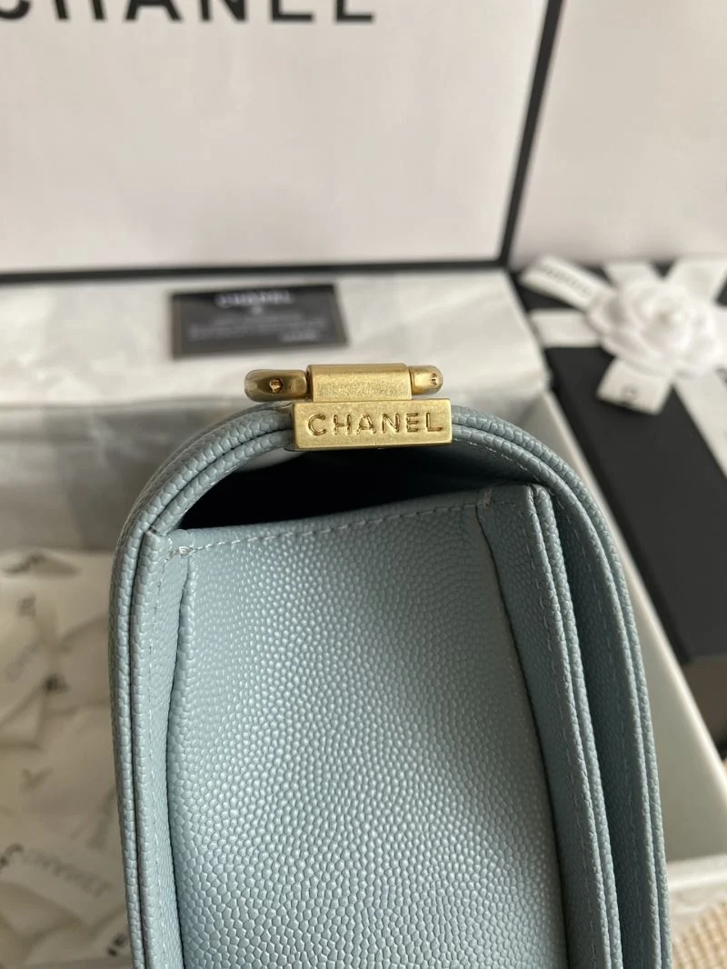 Chanel Leboy Series Bags Timeless 54912
