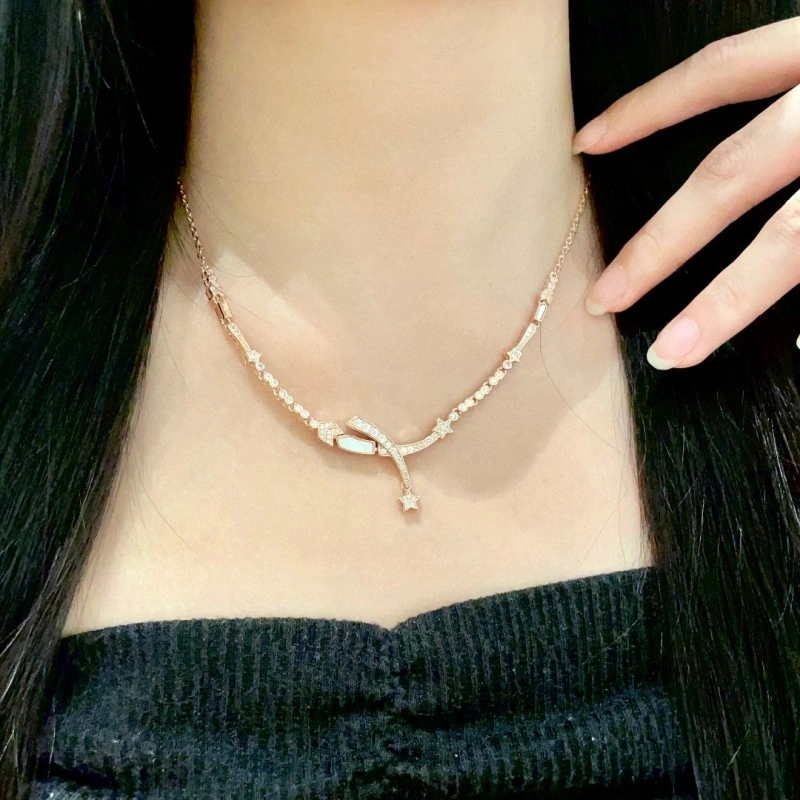 Modern Chanel Necklaces 220543