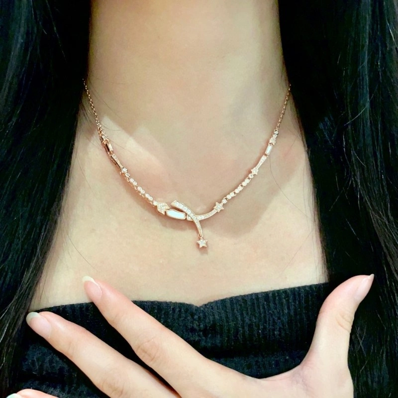 Modern Chanel Necklaces 220543