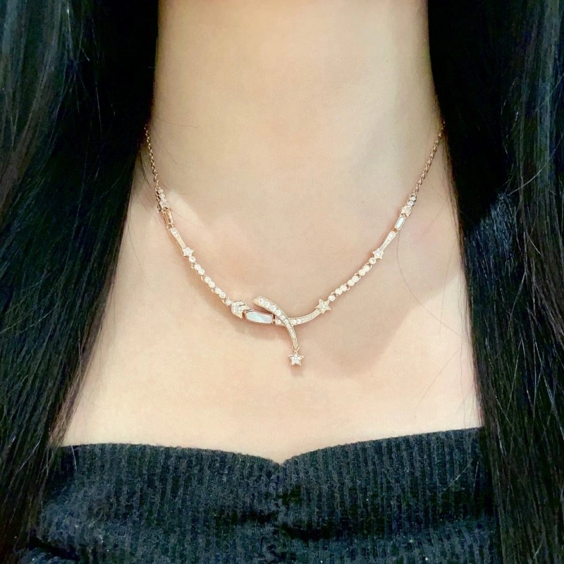 Modern Chanel Necklaces 220543