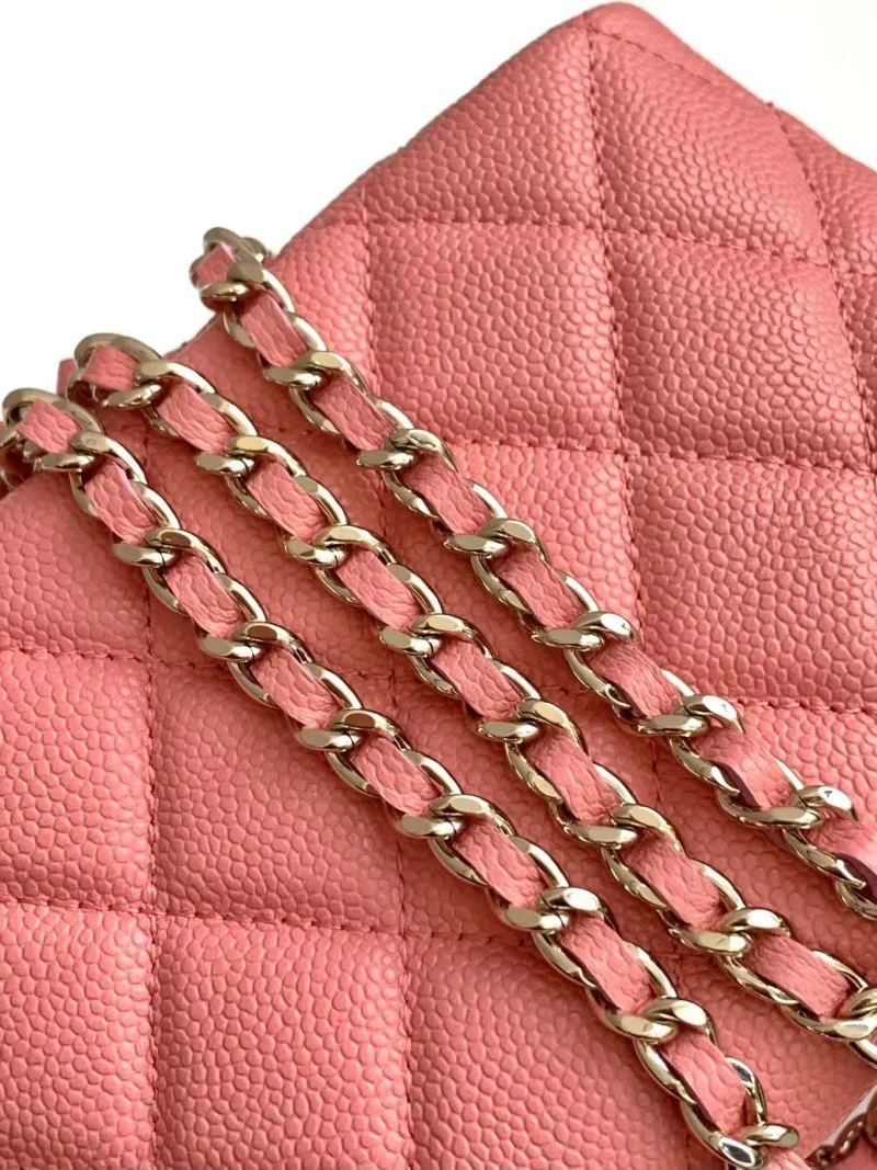 Chanel Other Stachel Bags GoAnywhere 53863