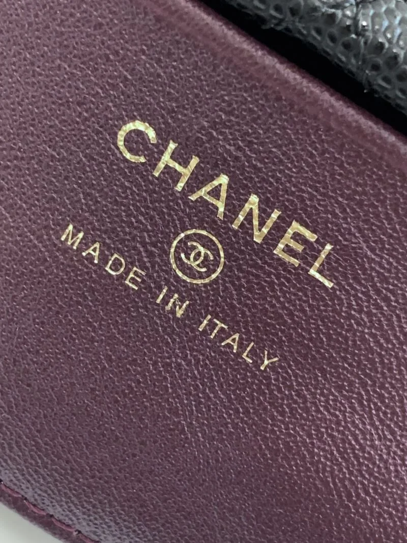 Chanel Other Stachel Bags Functional 53848