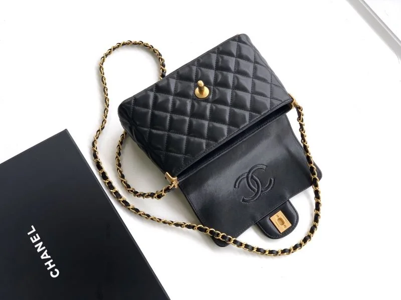 Chanel Other Stachel Bags WrinkleFree 53750