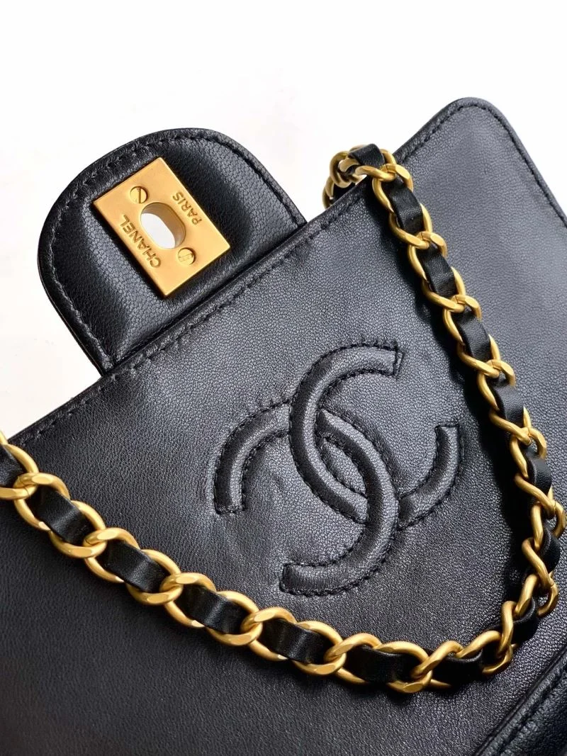 Chanel Other Stachel Bags WrinkleFree 53750