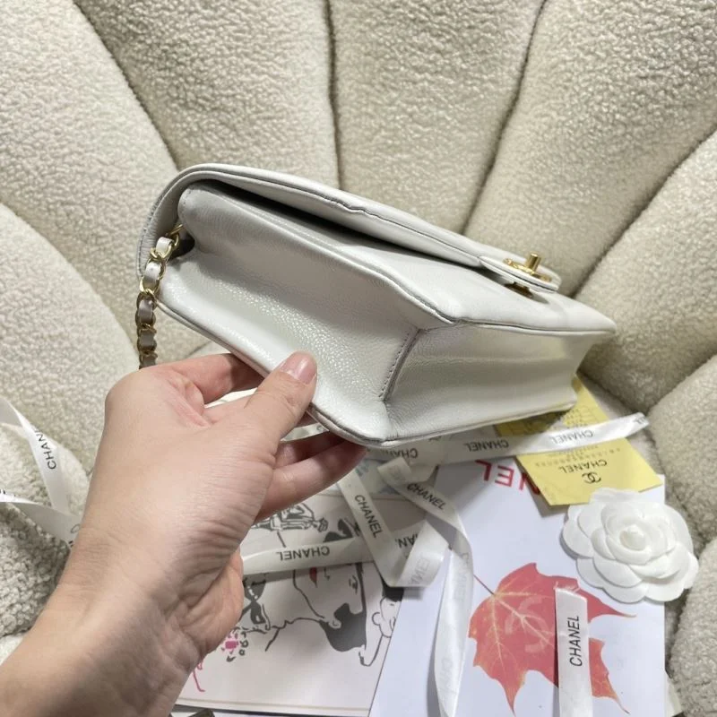 Chanel Other Stachel Bags Lightweight 53099