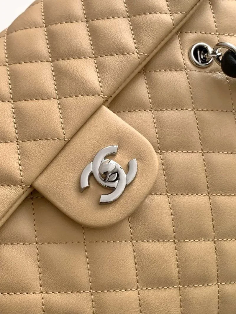 Sophisticated Chanel Other Stachel Bags 53055