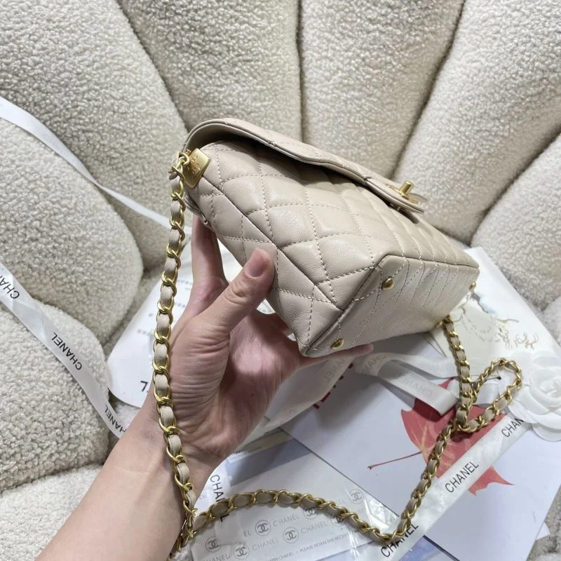 Chanel Other Stachel Bags OdorResistant 53066