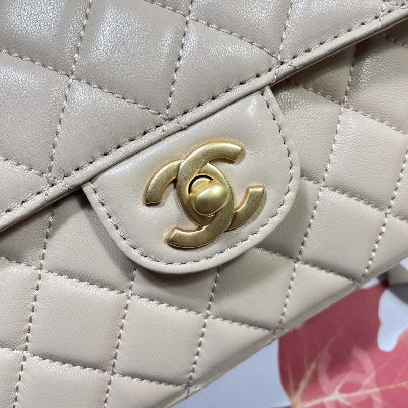 Chanel Other Stachel Bags OdorResistant 53066