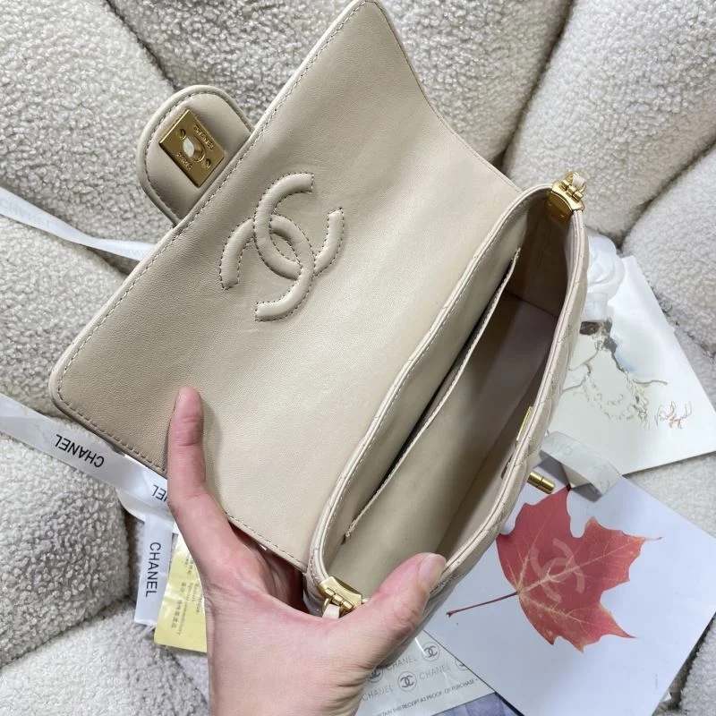 Chanel Other Stachel Bags OdorResistant 53066