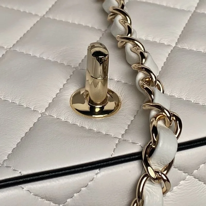 Chanel Other Stachel Bags FastDry 52970
