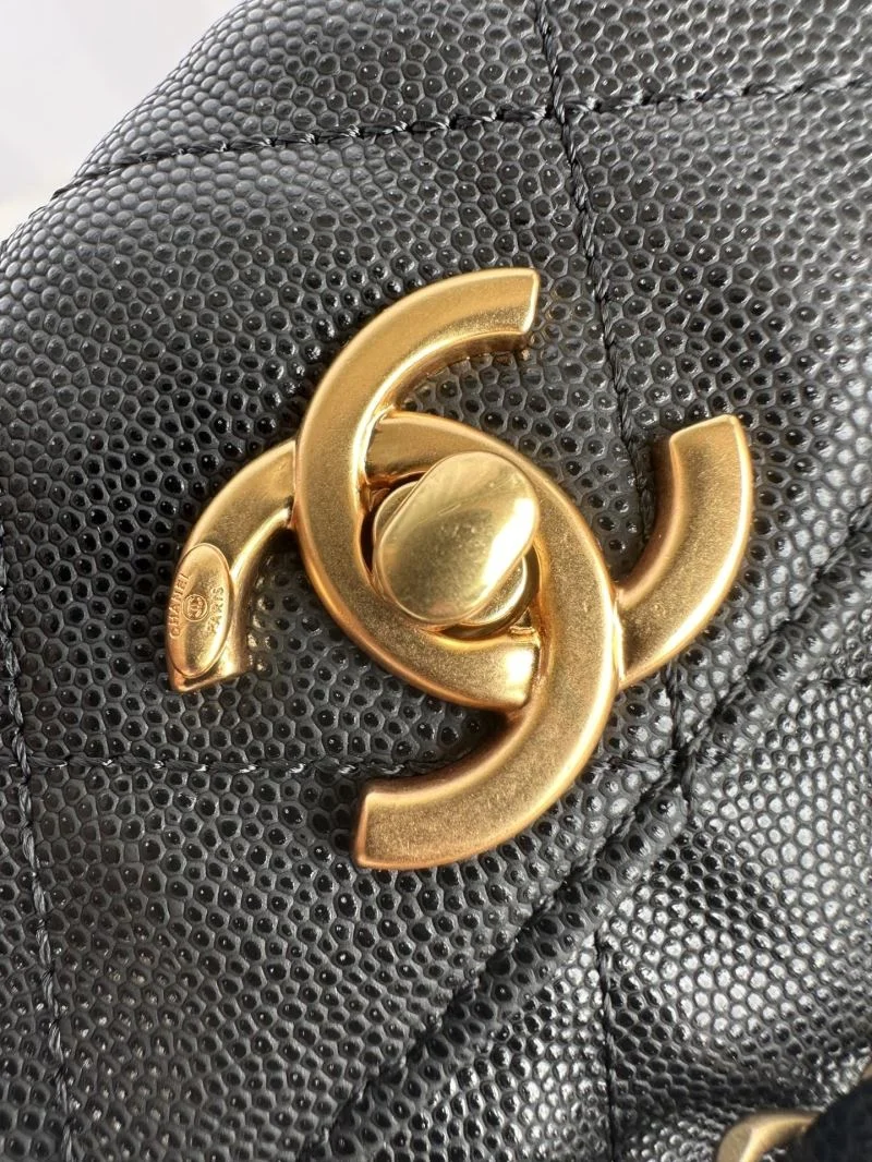 Soft Chanel Other Stachel Bags 53058