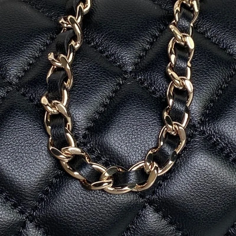 Resilient Chanel Other Stachel Bags 52898