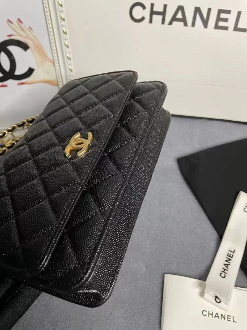 Soft Chanel Other Stachel Bags 52887