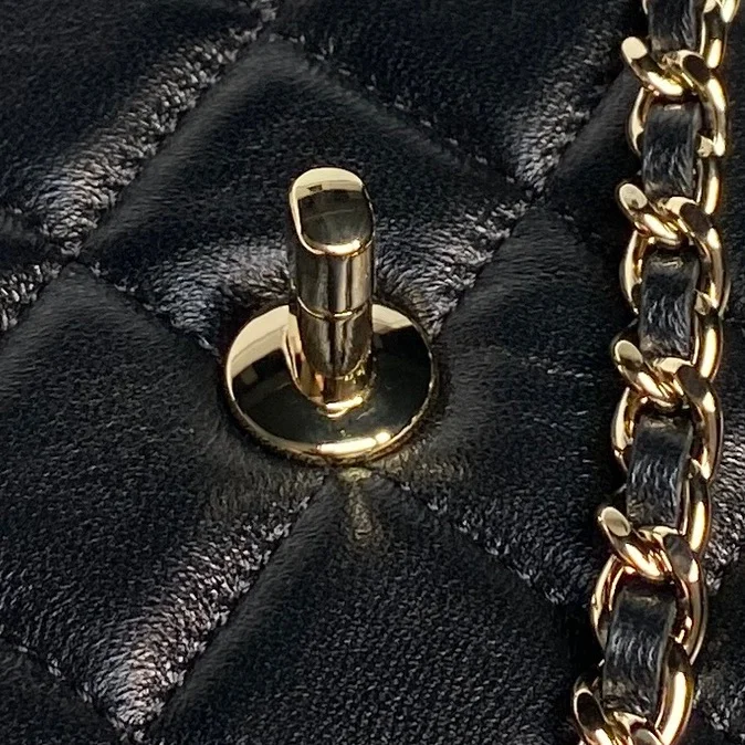 Stretchable Chanel Other Stachel Bags 52848