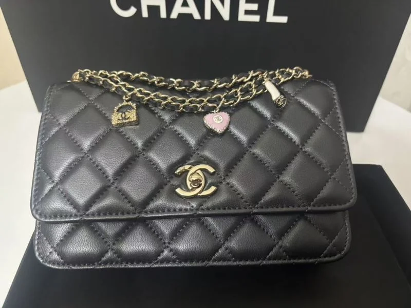WellDesigned Chanel Other Stachel Bags 52851
