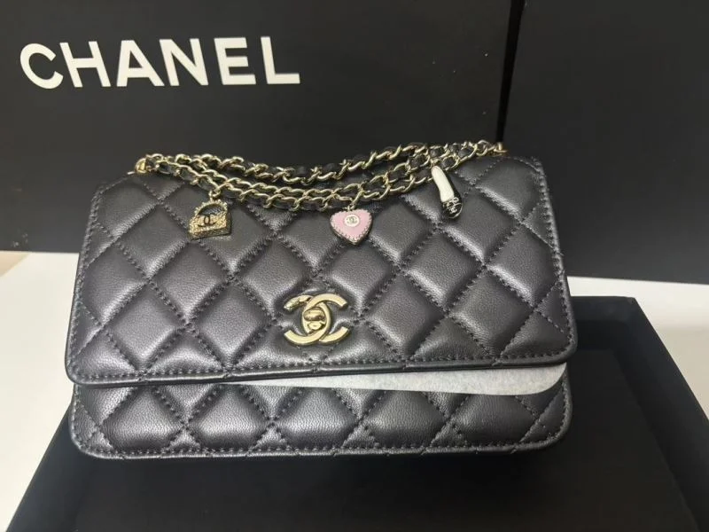 WellDesigned Chanel Other Stachel Bags 52851