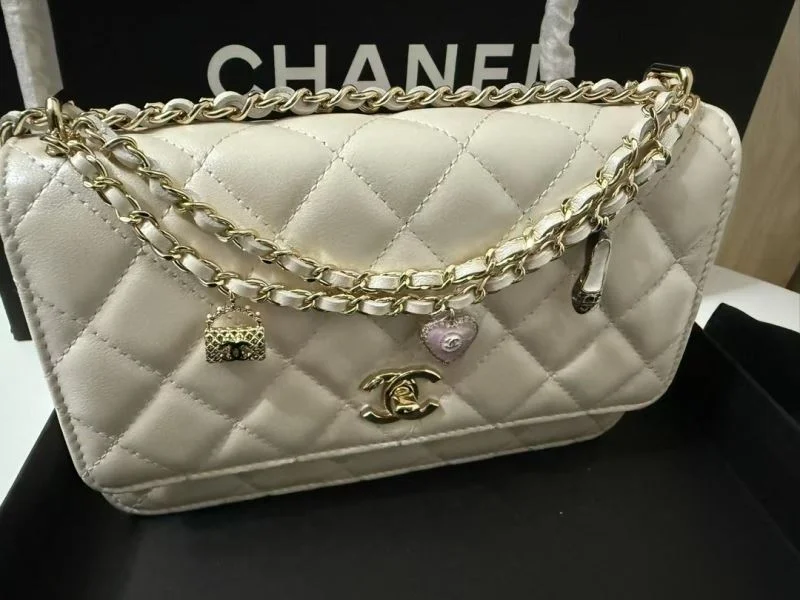 Chanel Other Stachel Bags Packable 52837