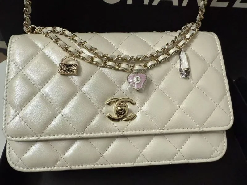 Chanel Other Stachel Bags Packable 52837