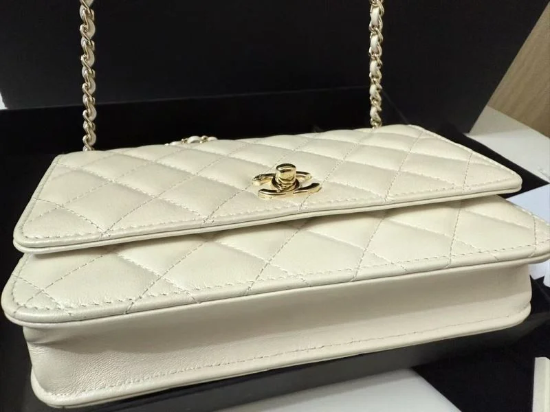 Chanel Other Stachel Bags Packable 52837