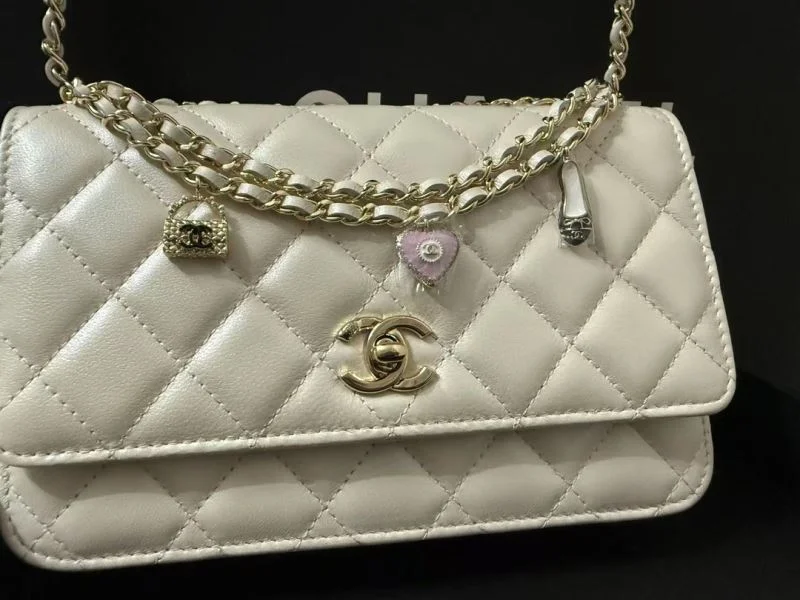 Chanel Other Stachel Bags Packable 52837