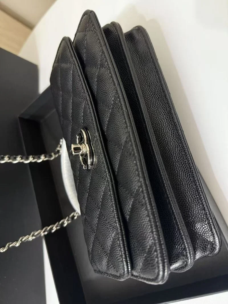 Contemporary Chanel Other Stachel Bags 52838