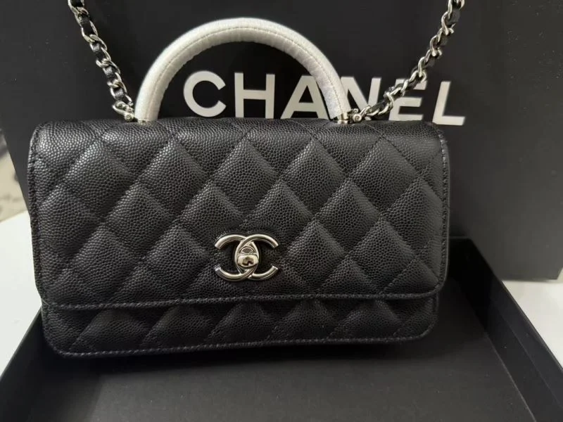 Contemporary Chanel Other Stachel Bags 52838