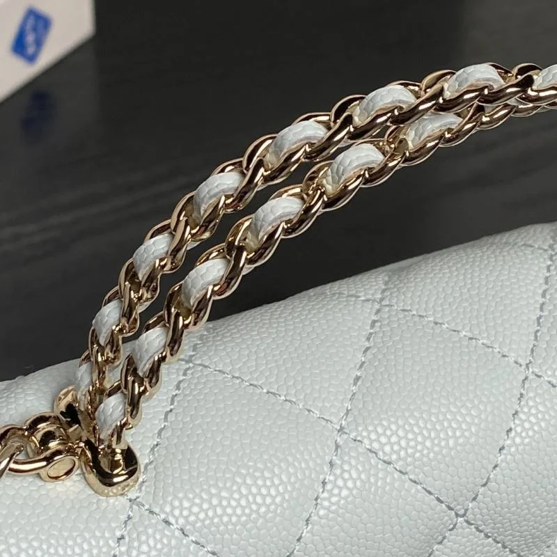 WeatherProof Chanel Other Stachel Bags 52812