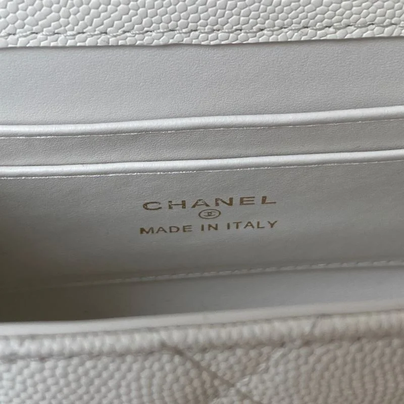 EasyCare Chanel Other Stachel Bags 52811