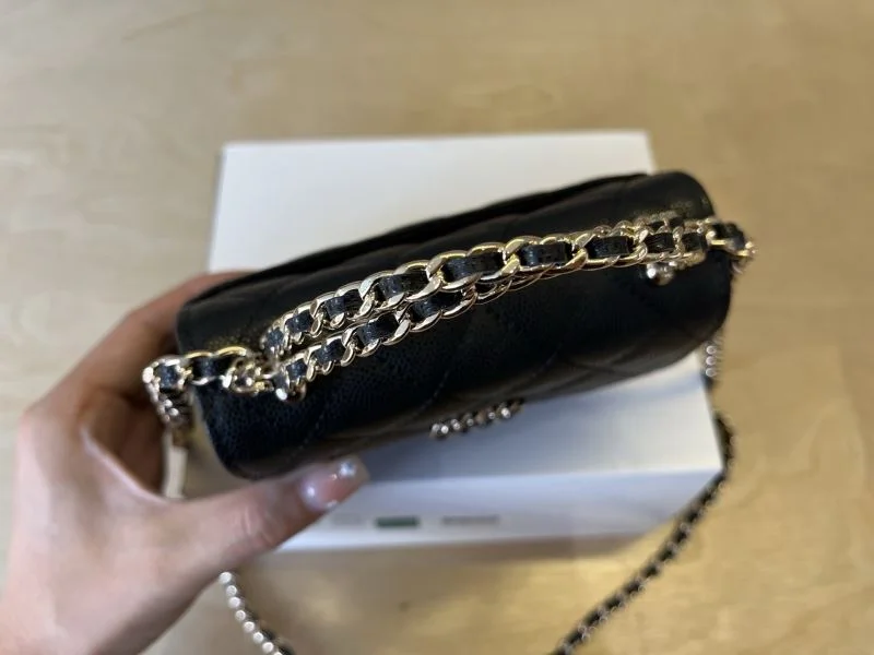 Elegant Chanel Other Stachel Bags 52824