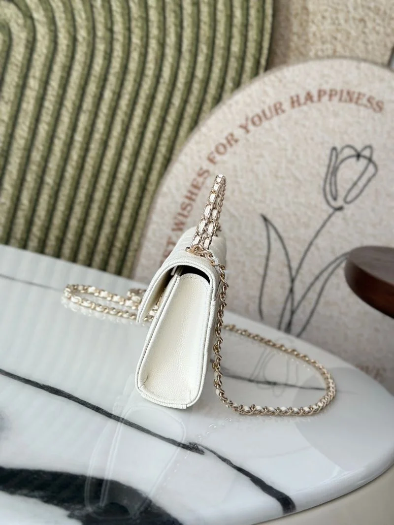 QuickDry Chanel Other Stachel Bags 52829