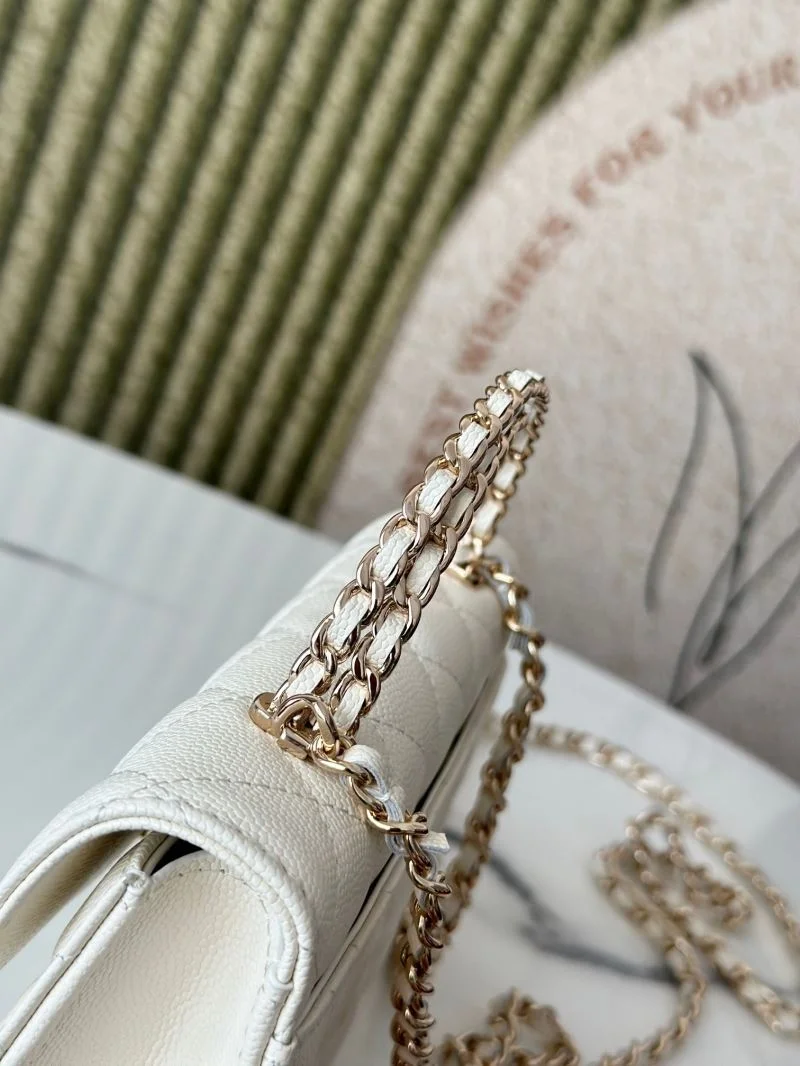 QuickDry Chanel Other Stachel Bags 52829