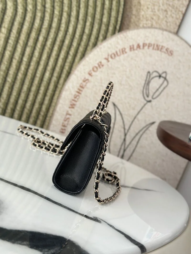 Chanel Other Stachel Bags Breathable 52789