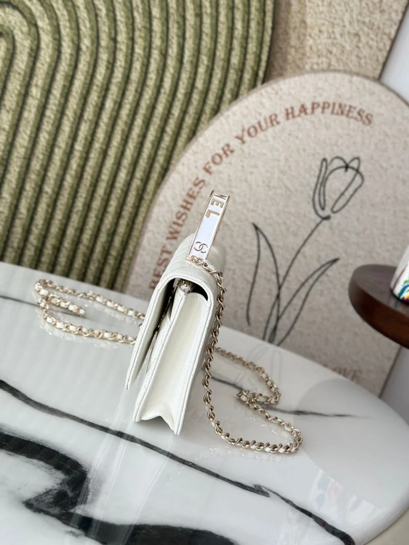 Chanel Other Stachel Bags FastDry 52792